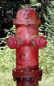 Photo of American Darling hydrant