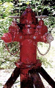 Photo of Mueller FM/SH hydrant with independent gate valves