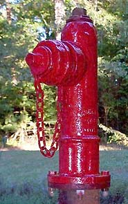 Photo of Mueller A-411 hydrant