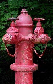 Mueller "Chattanooga" hydrant with independent gate valves