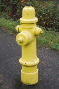 Long & Scott Hydrant, circa 1920